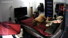 Amateur Doggystyle Hidden Cam