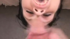 Brunette Hardcore Blowjob