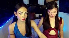 Asian Ladyboy on Trannies gold