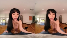 Becca Dream House