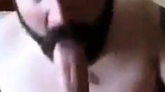 Bearded daddy sucks big hairy cock