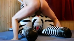 Inflatable zebra toy fuck cum inside