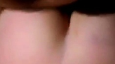 Norsk Analsex