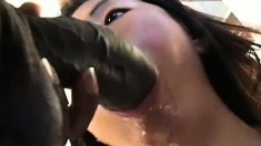 Filthy Oriental slut has a nasty addiction to stiff black cock